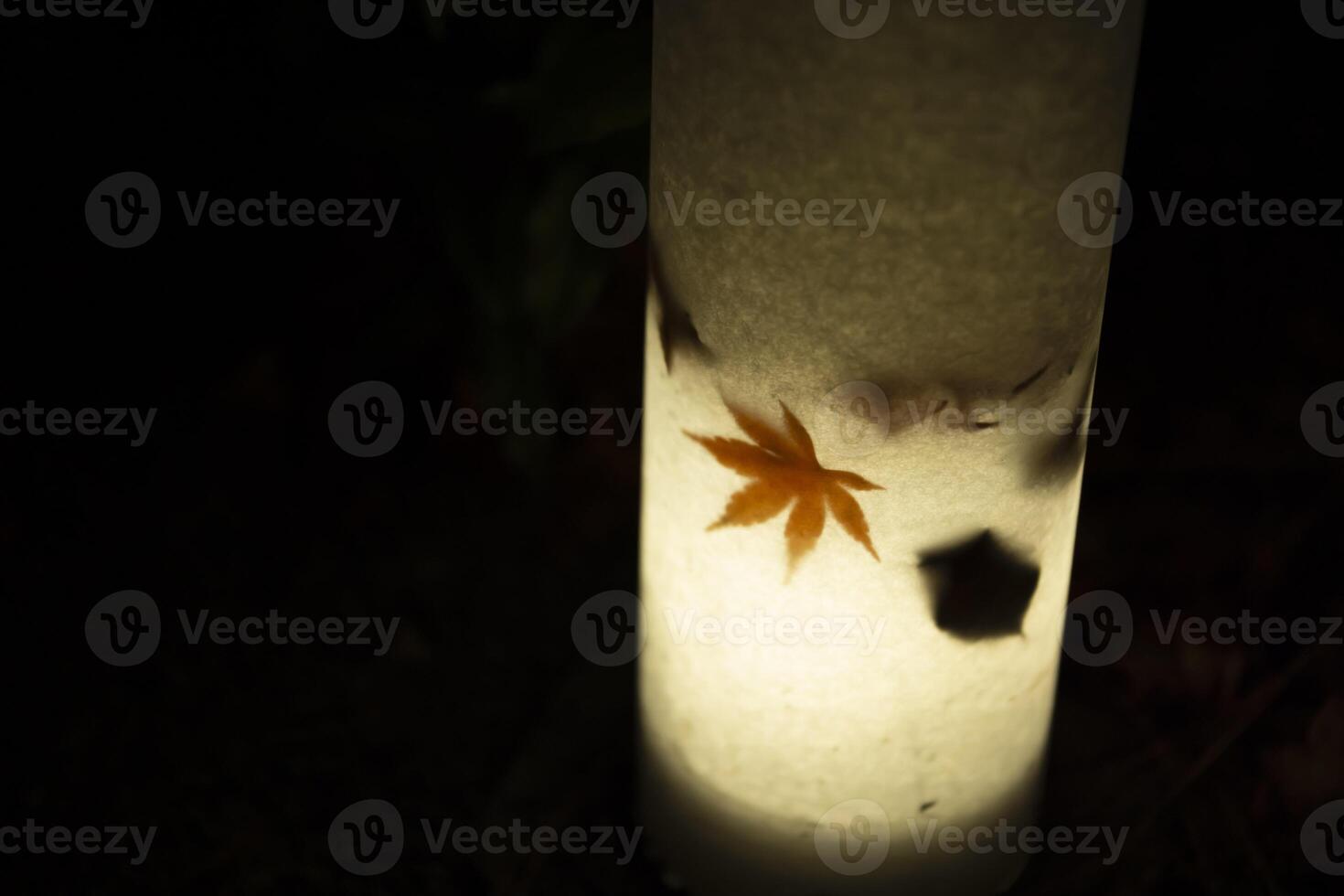 un illuminato rosso le foglie nel il leggero a il tradizionale giardino a notte nel autunno foto