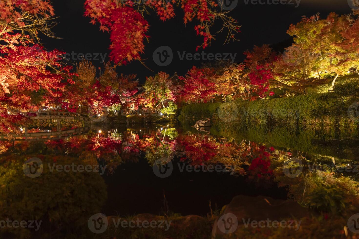 un illuminato rosso le foglie riflettendo su il acqua a il tradizionale giardino foto