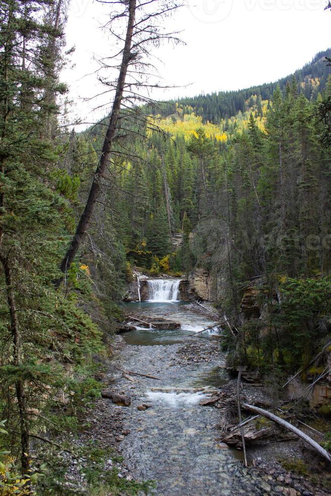 cascata nel johnston canyon, roccioso montagne, Canada. foto