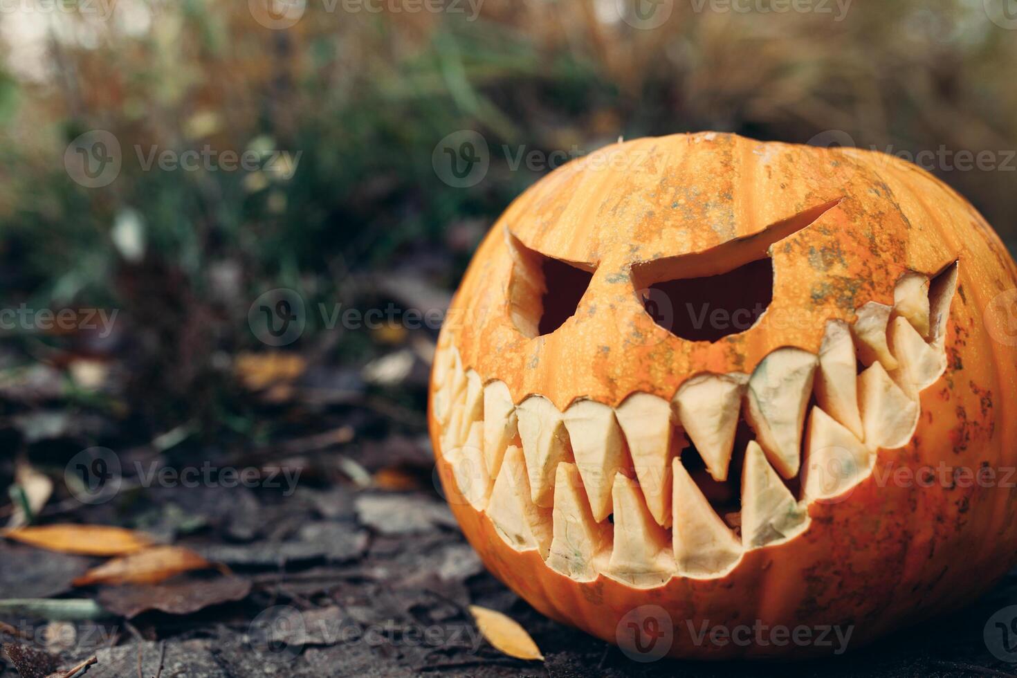 Halloween jack-o-lanterna con antropomorfo sorridente viso su autunno le foglie all'aperto foto