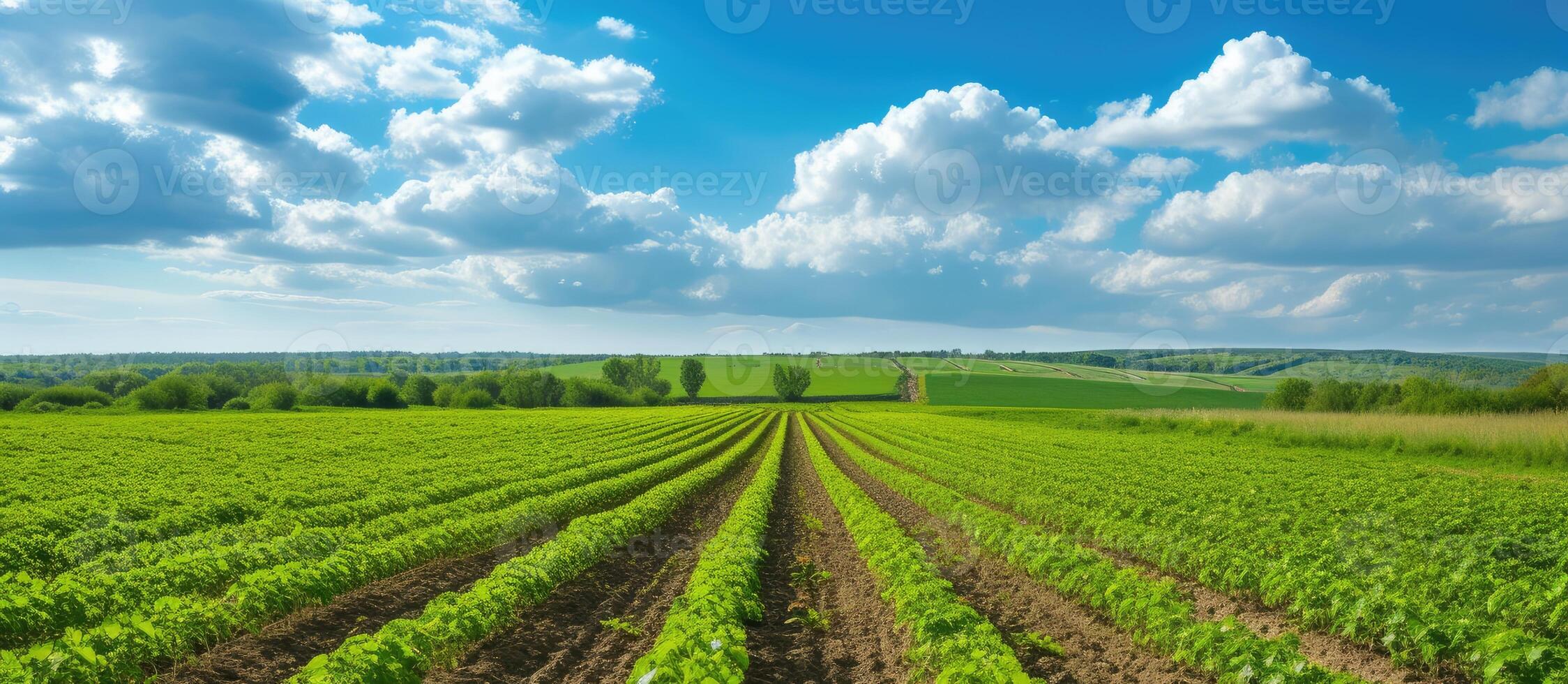 ai generato panoramica Visualizza di colorato campi, e righe di ribes cespuglio piantine come un' sfondo composizione. generativo ai foto