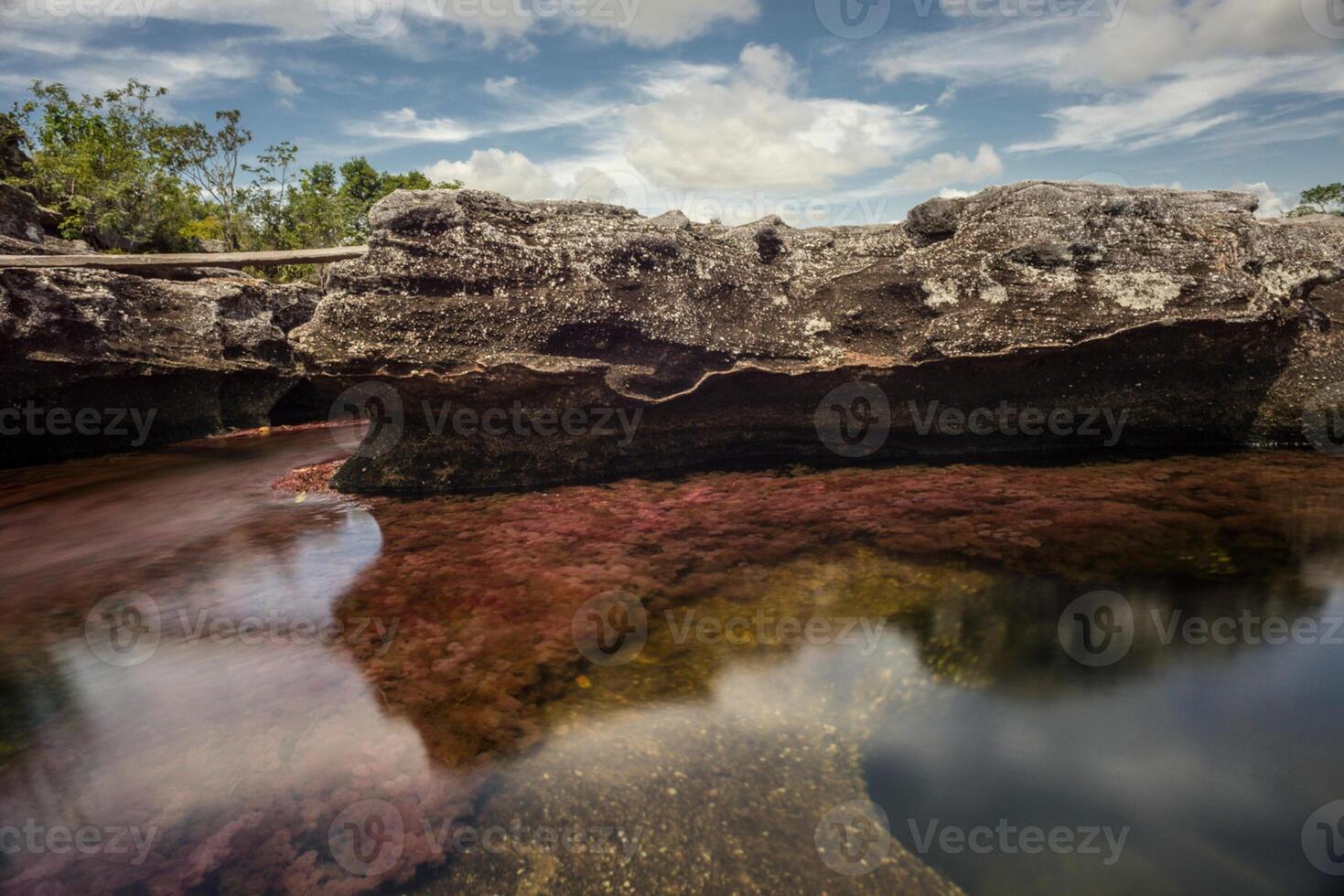 cano cristalli è un' fiume nel Colombia quello è collocato nel il sierra de la macarena, nel il Dipartimento di meta. esso è considerato di molti come il maggior parte bellissimo fiume nel il mondo foto