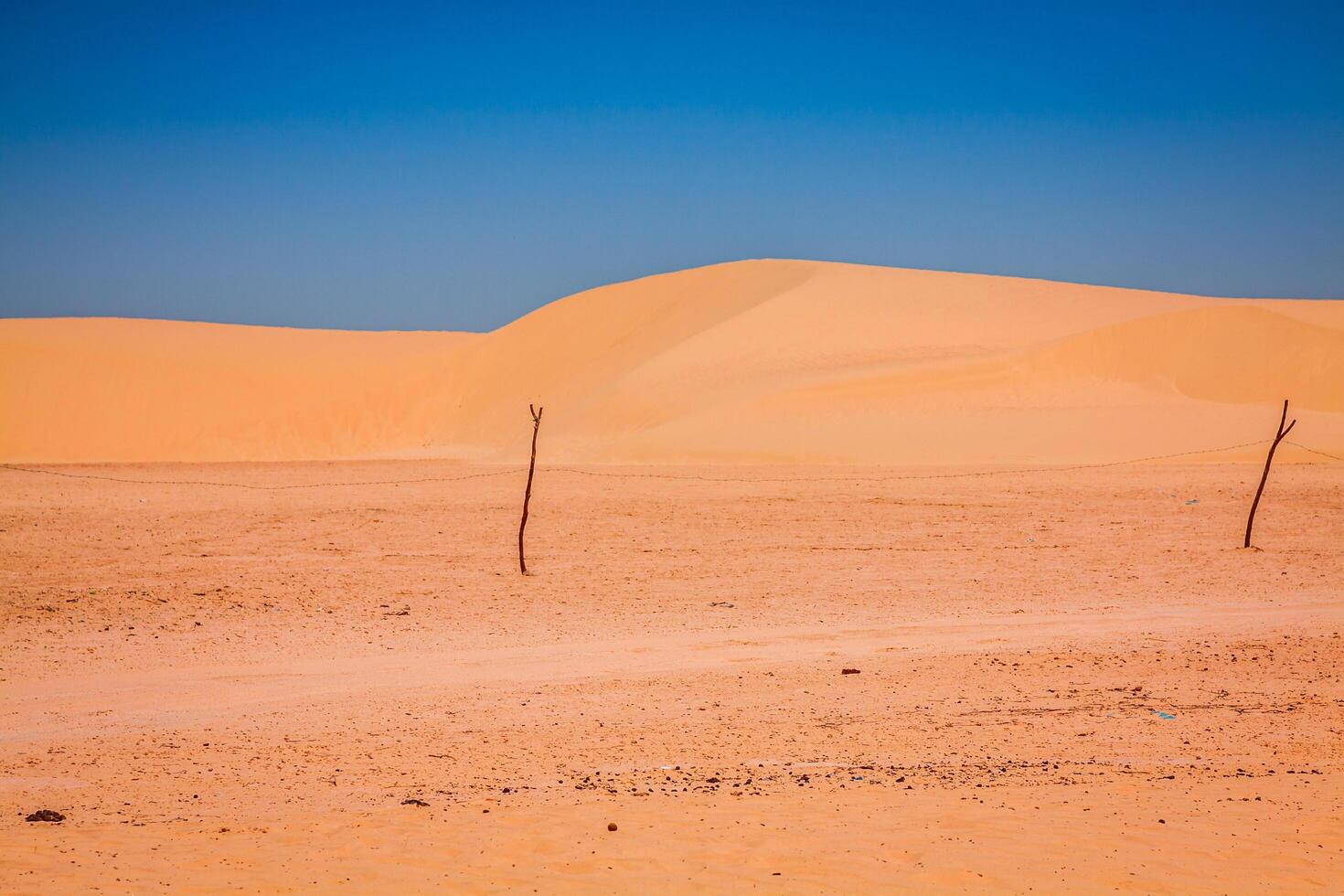 sabbia dune di sahara deserto vicino ong Jemel nel Tozeur, Tunisia. foto
