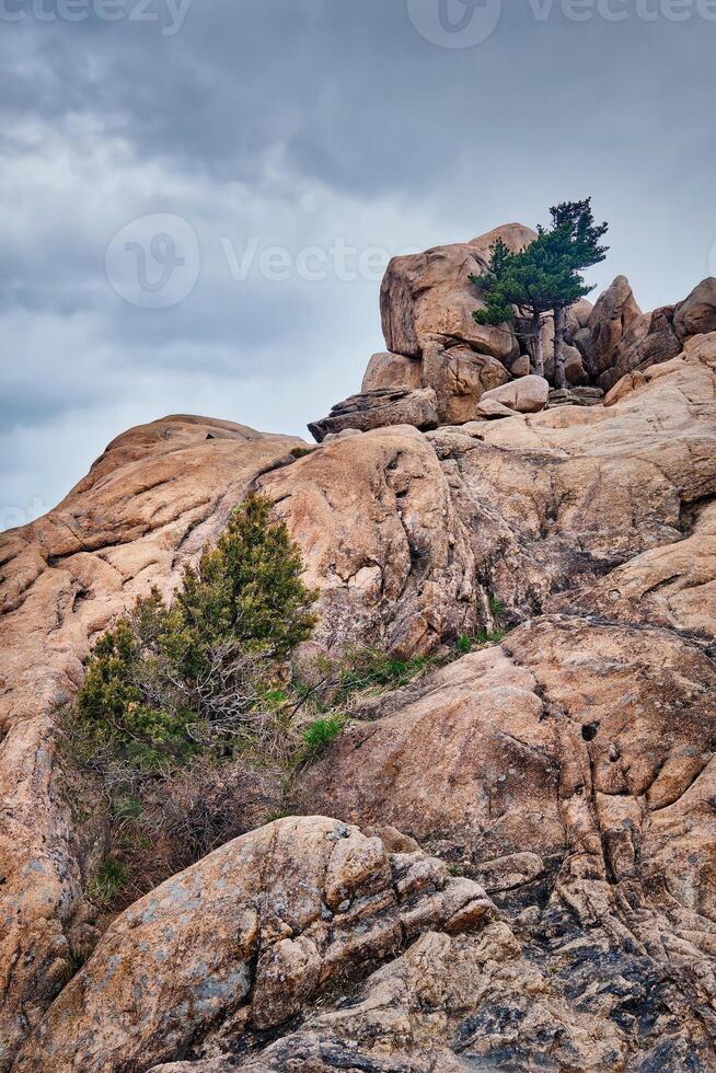 roccia con pino alberi nel seoraksan nazionale parco, Sud Corea foto