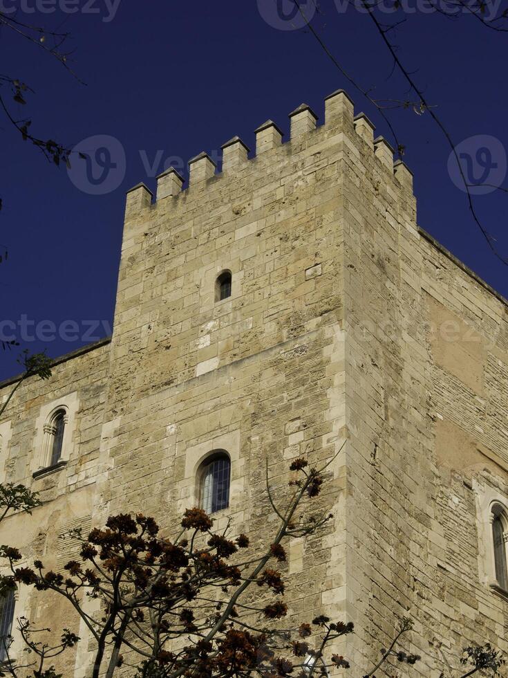 palma de maloraca foto