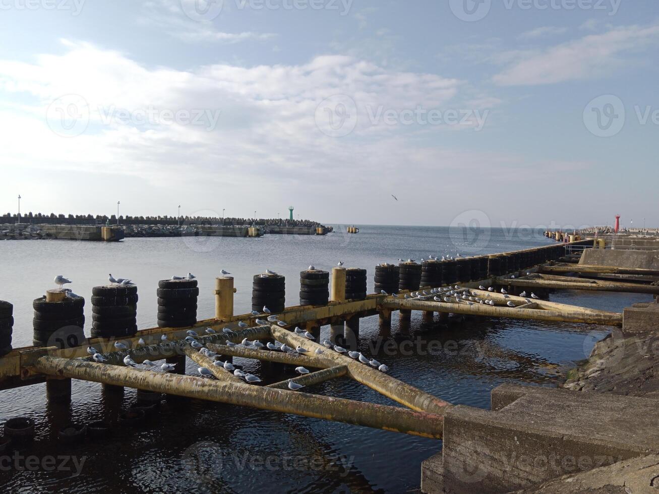 assunzione un' passeggiare lungo il porta e molo nel kolobrzeg, Polonia, offerte un' delizioso Esperienza con pittoresco visualizzazioni di il baltico mare e il vivace marittimo attività. foto