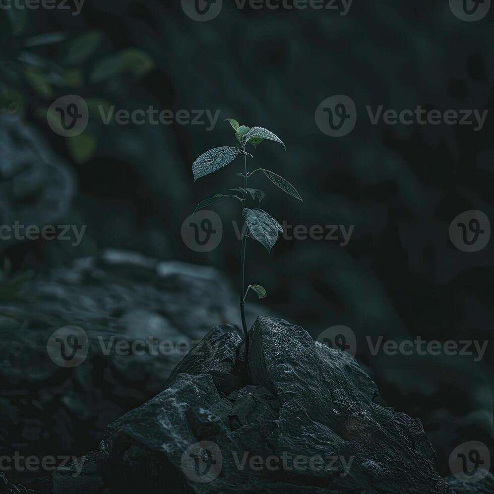 ai generato buio minimo natura scena nel boho stile foto