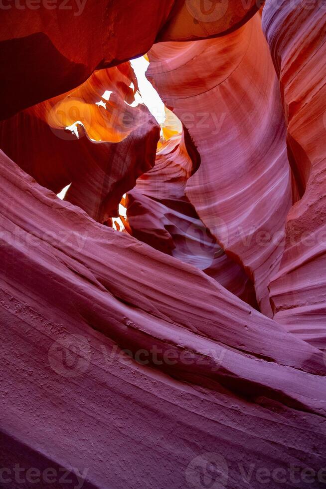 grande Visualizza di il mille dollari canyon nazionale parco, Arizona, unito stati. California deserto. foto