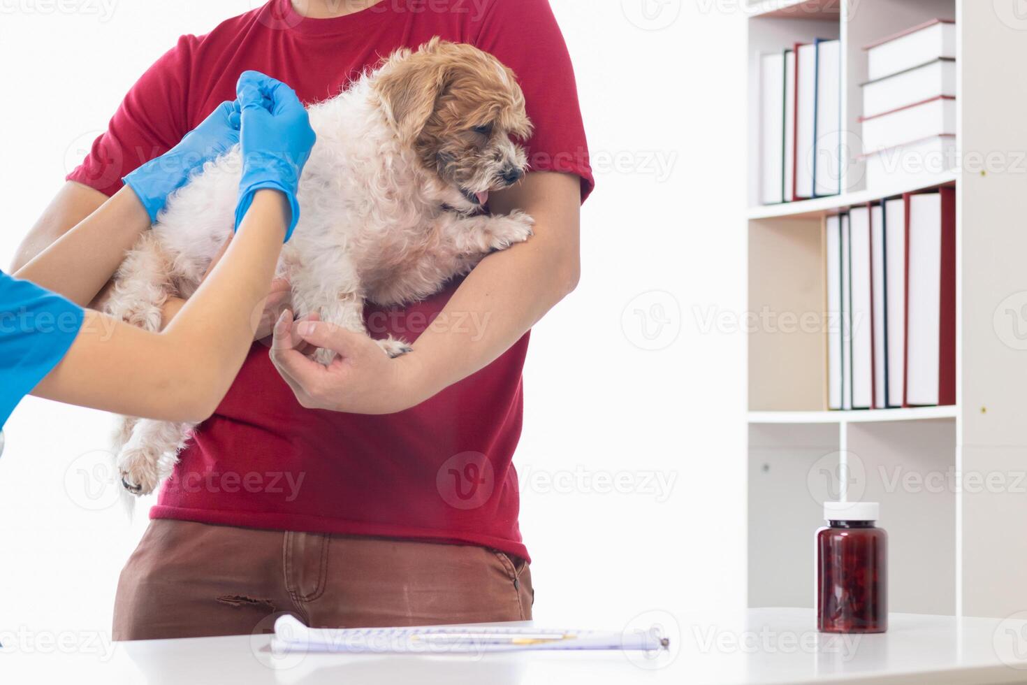 veterinari siamo l'esecuzione annuale dai un'occhiata UPS su cani per Guarda per possibile malattia e trattare loro velocemente per garantire il di animali domestici Salute. veterinario è l'esame cane nel veterinario clinica per trattamento foto