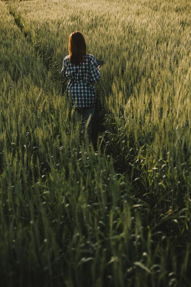 inteligente azienda agricola. contadino con tavoletta nel il campo. agricoltura, giardinaggio o ecologia concetto. raccolta. agro attività commerciale. foto