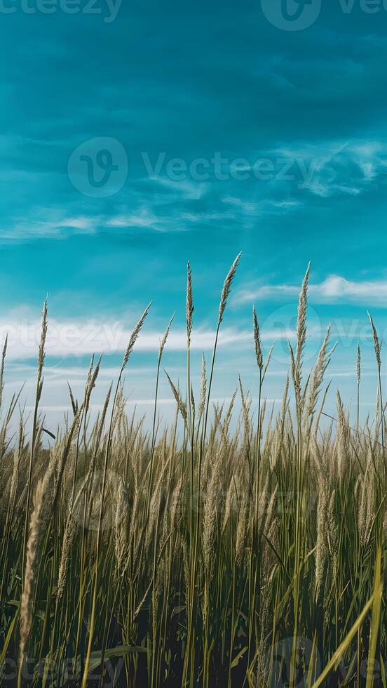 ai generato erba campo sotto blu cielo crea idilliaco naturale fondale verticale mobile sfondo foto