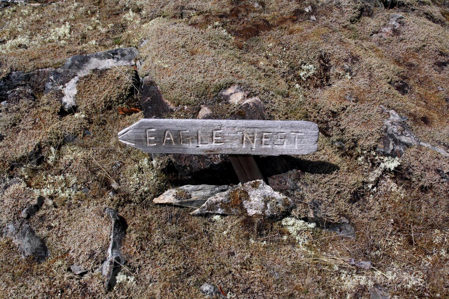 di legno freccia con aquila nido parole lavorato su esso foto