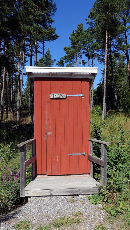 un' gabinetto nel il mezzo di il boschi nel Scandinavia foto