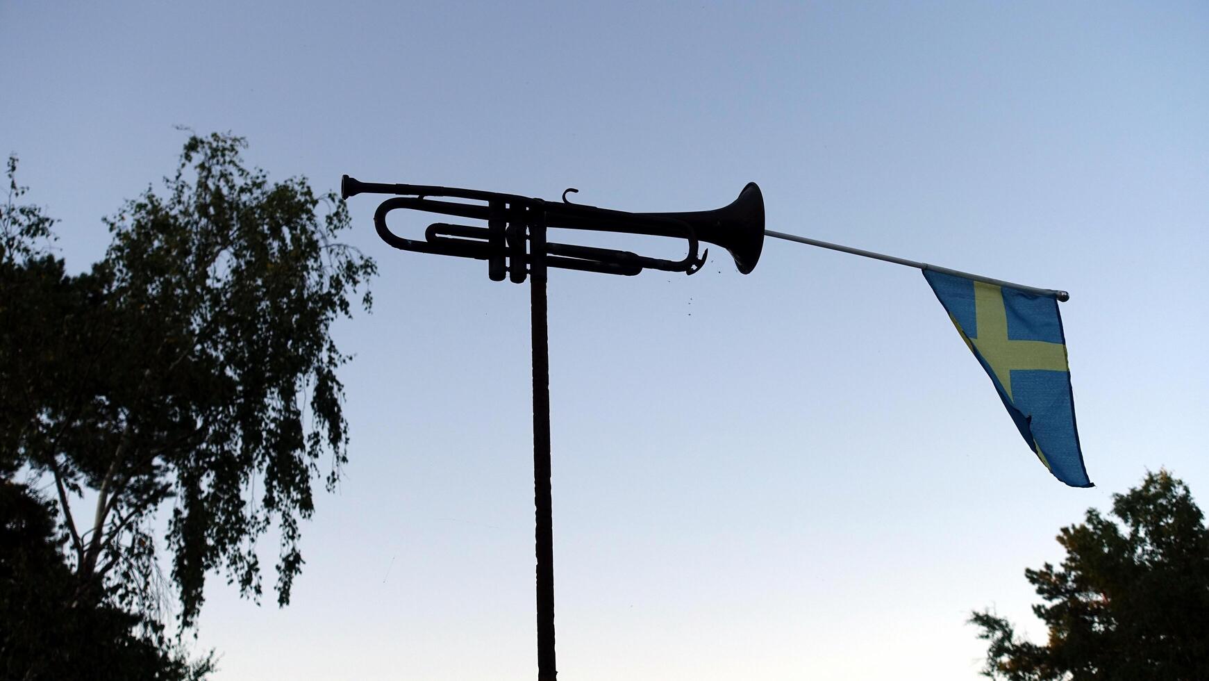 un' tromba con il svedese bandiera nascosto dentro foto