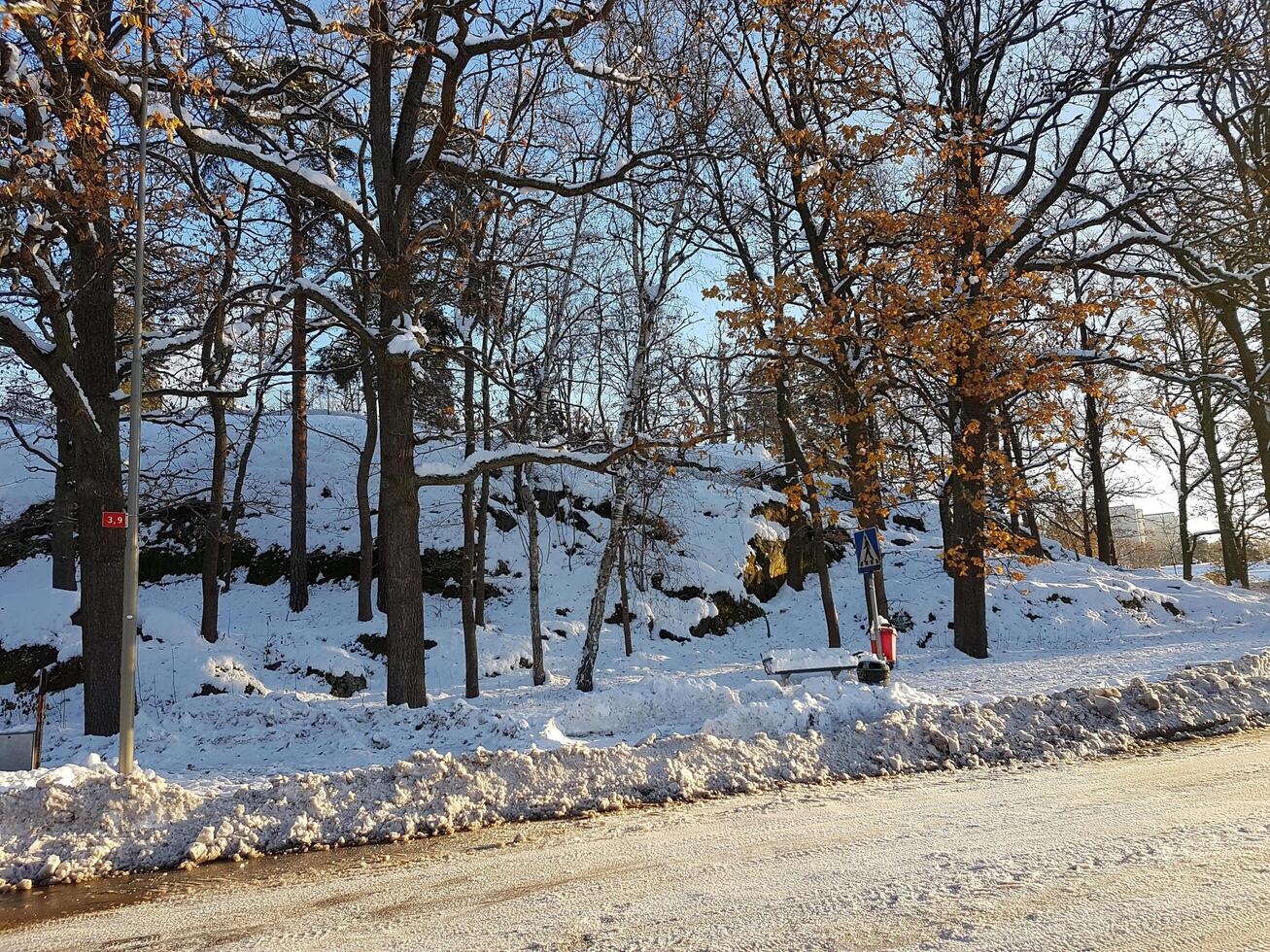 inverno su il sobborgi di stoccolma foto