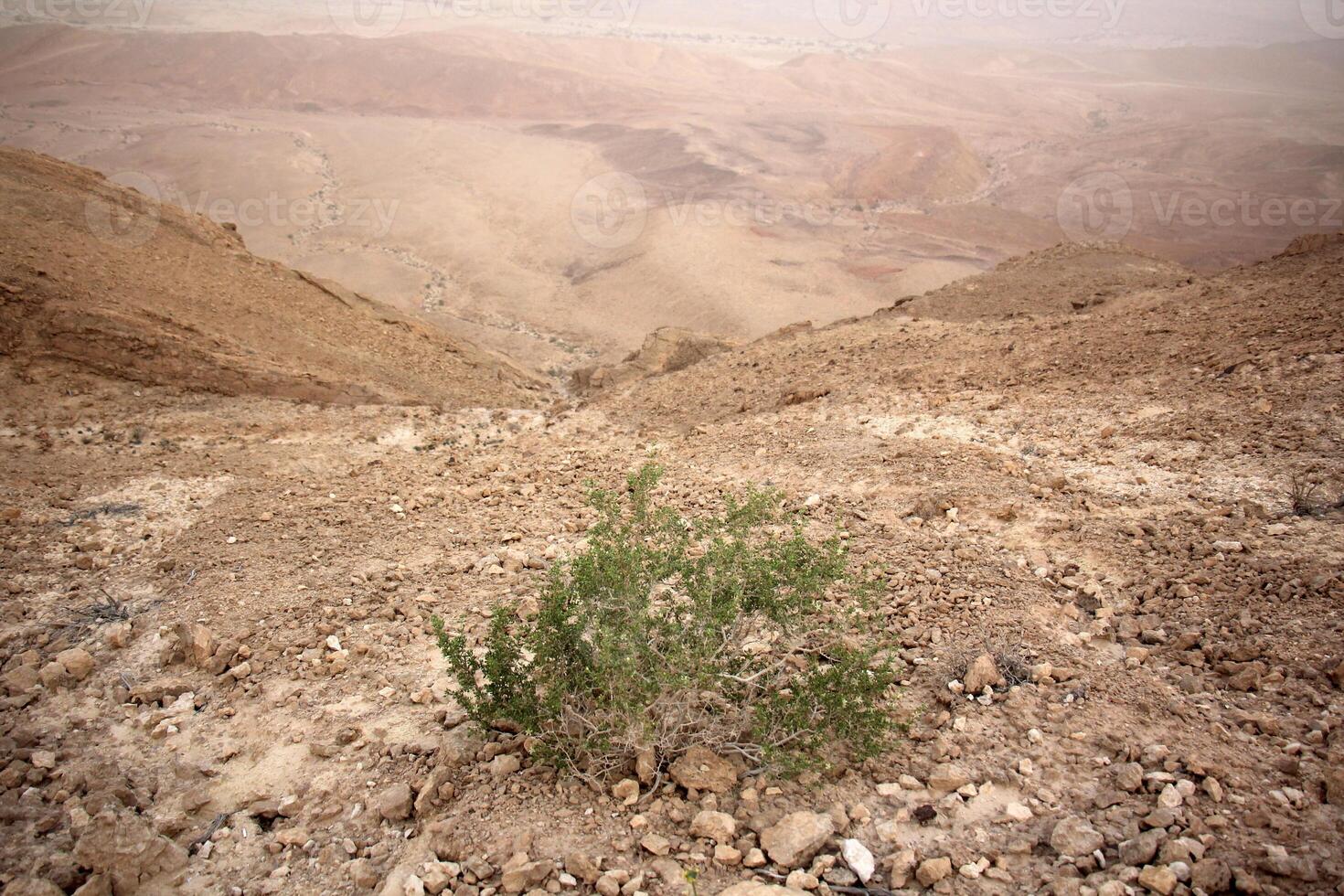 il negev è un' deserto nel il mezzo est, collocato nel Israele e occupante di 60 di suo territorio. foto