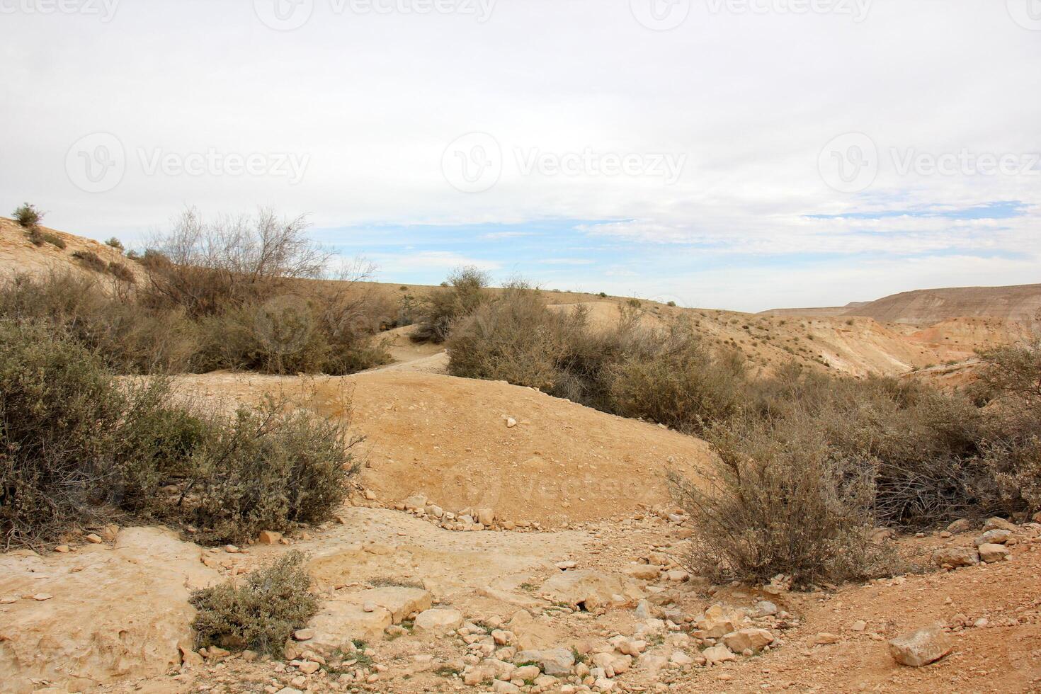 il negev è un' deserto nel il mezzo est, collocato nel Israele e occupante di 60 di suo territorio. foto