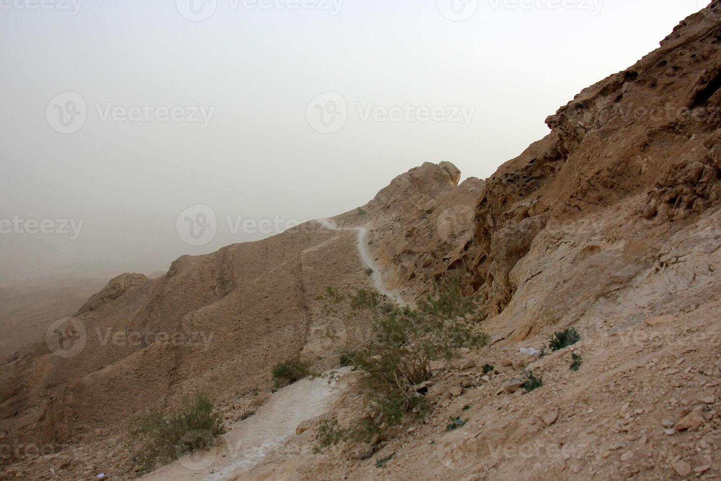 il negev è un' deserto nel il mezzo est, collocato nel Israele e occupante di 60 di suo territorio. foto