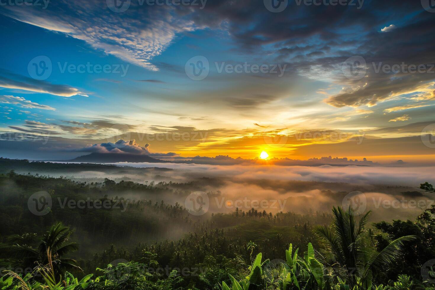 foto Alba al di sopra di bali giungla