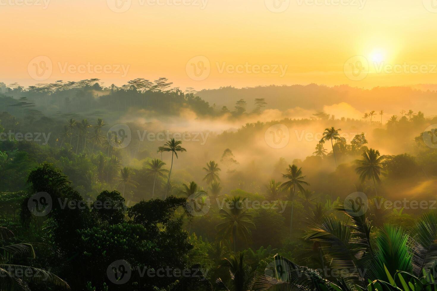 foto Alba al di sopra di bali giungla