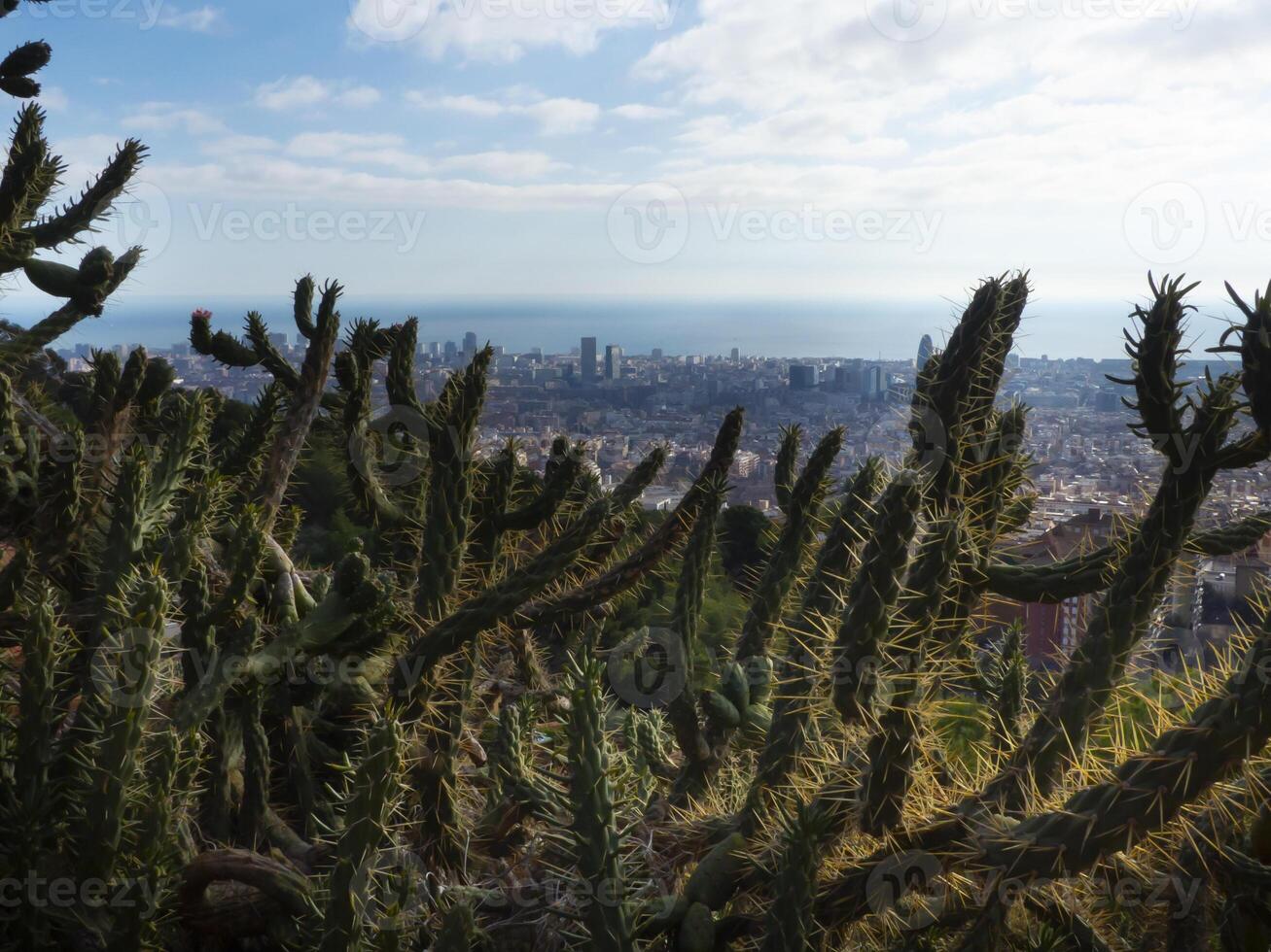 spillo impianti con il urbano paesaggio nel il sfondo foto