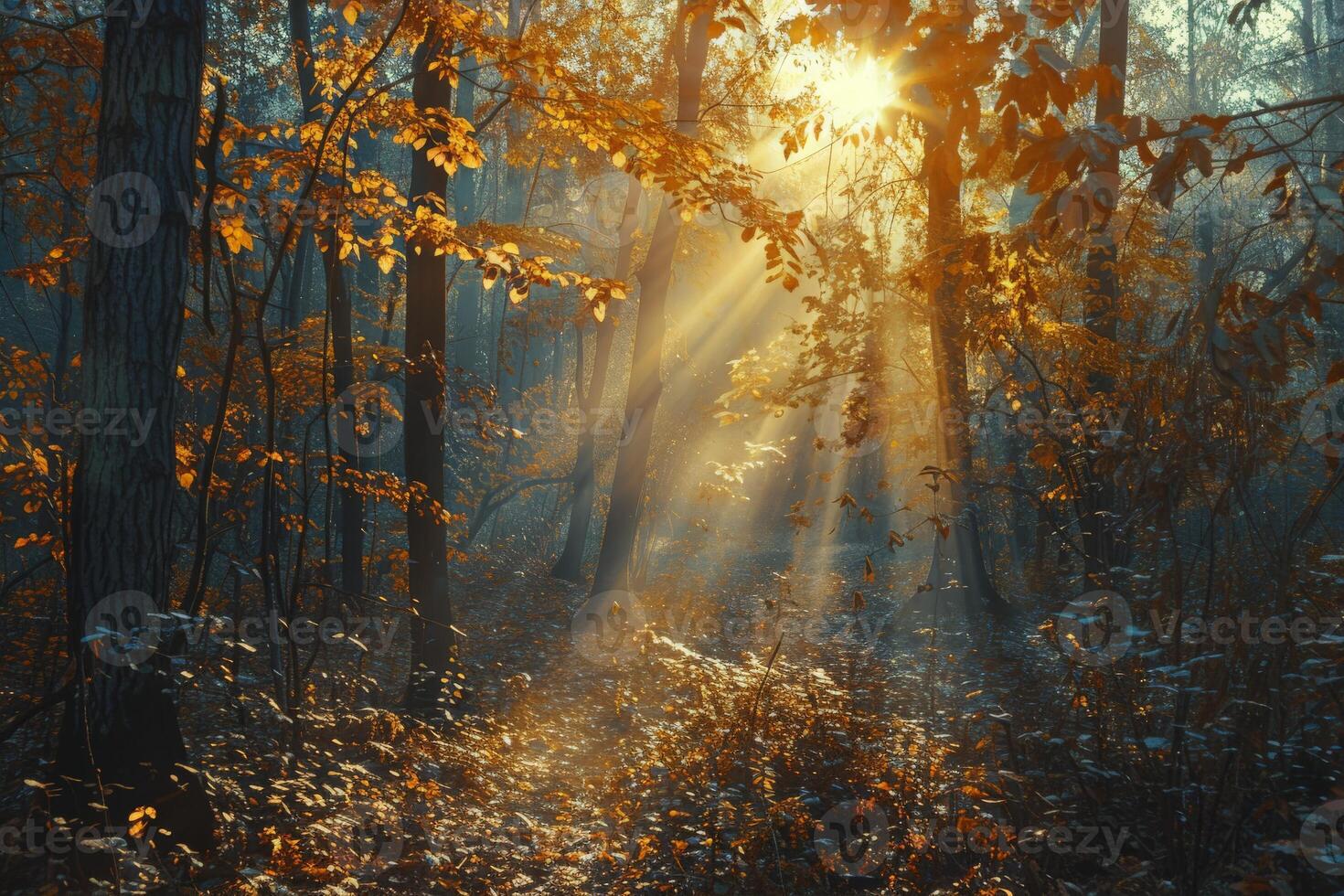 luce del sole filtraggio attraverso alberi nel boschi foto