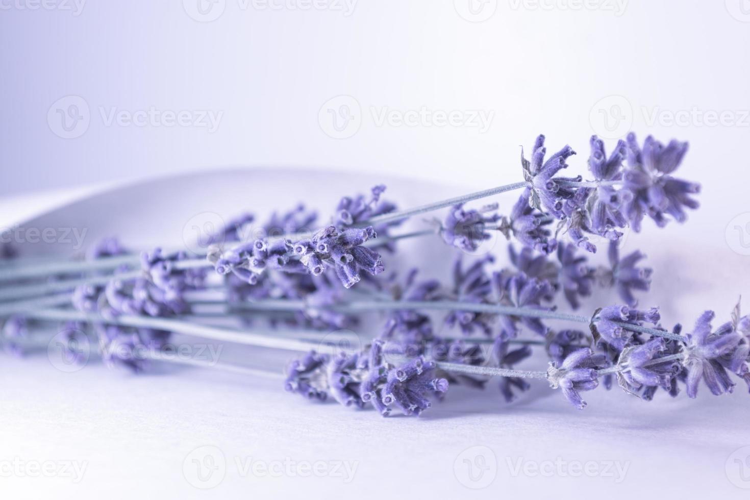 lavanda secca in un foglio di carta. foto