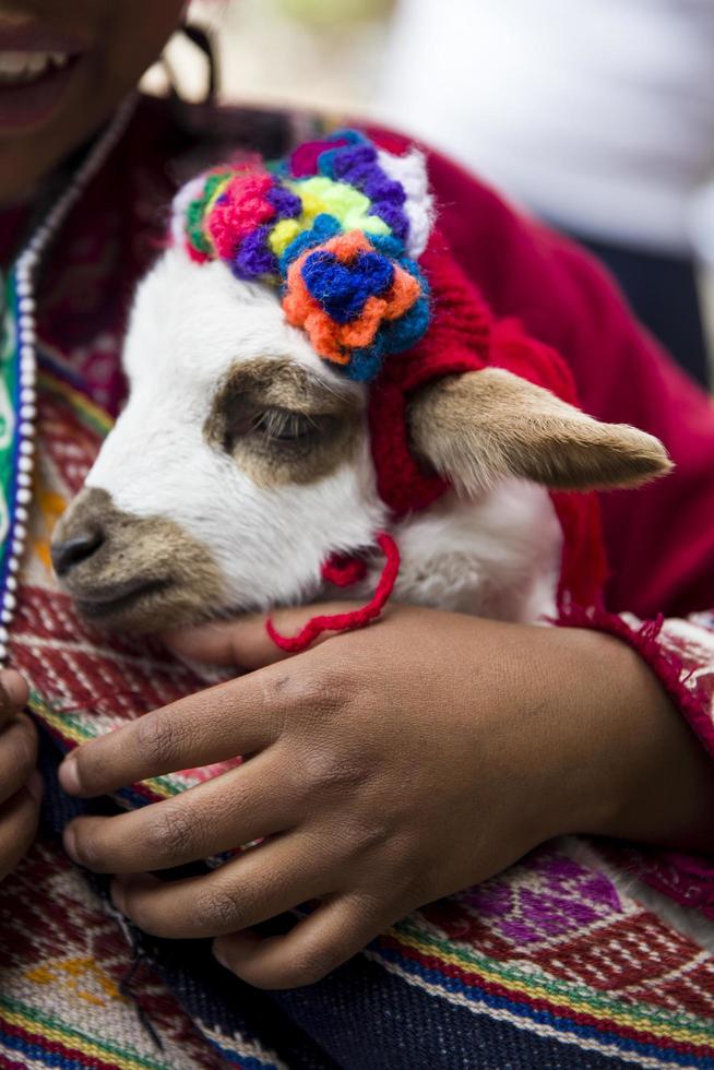 cusco, perù, 31 dicembre 2017 - ragazza non identificata sulla strada di cusco, perù. quasi il 29 percento della popolazione di Cusco ha meno di 14 anni. foto