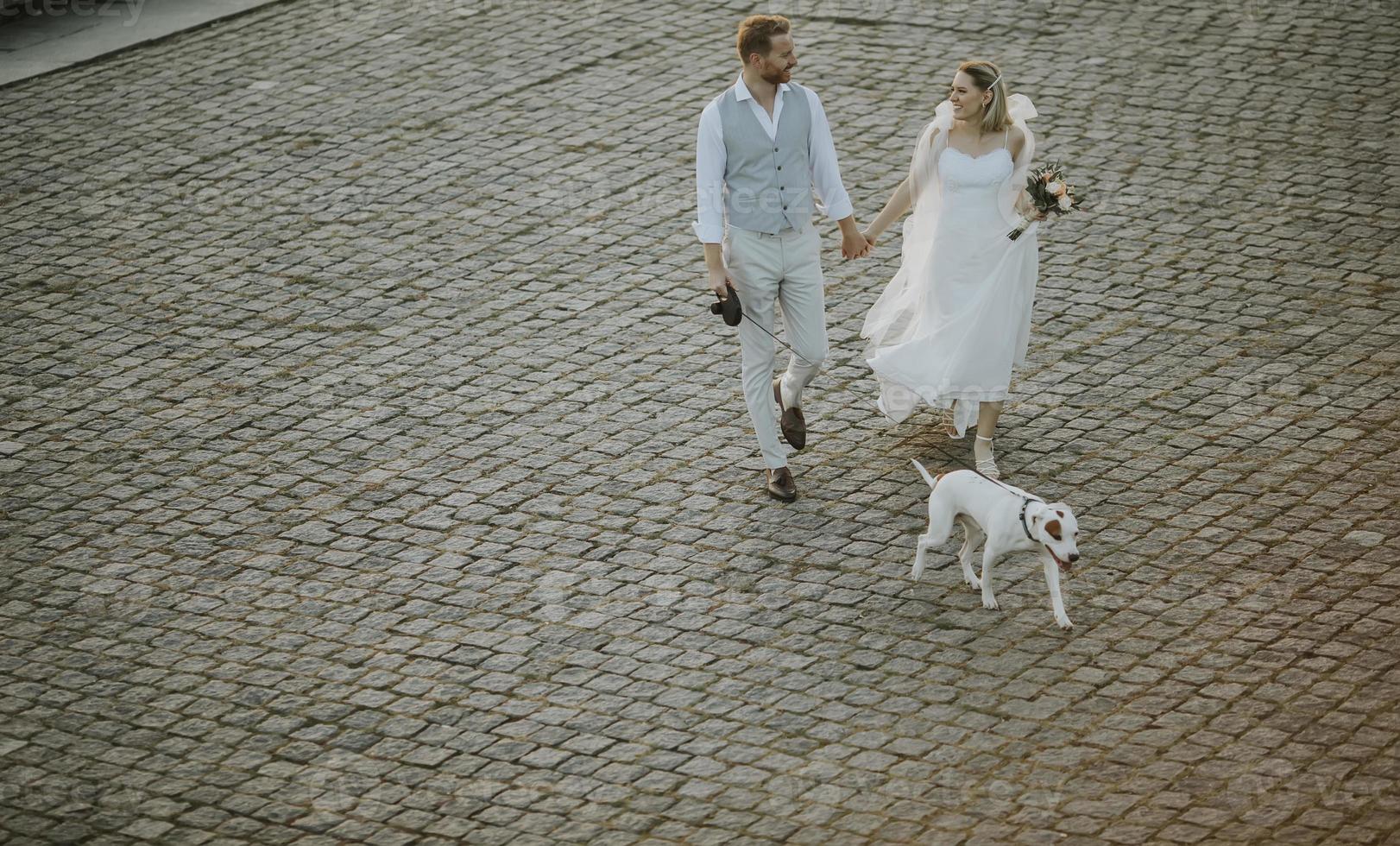 vista ad alto angolo di giovane coppia di sposini con il loro cane jack russel terrier foto