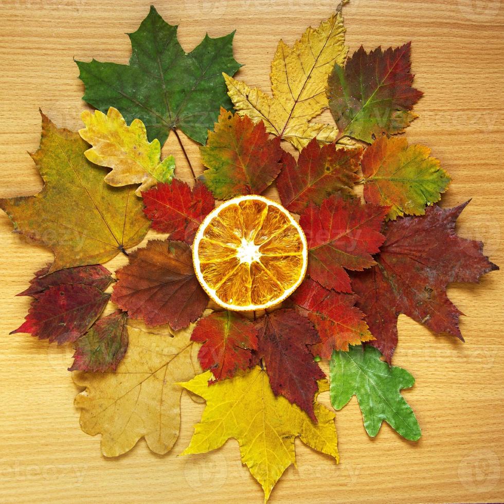 autunno natura morta. fetta d'arancia su foglie cadute secche. belle foglie e frutti sul tavolo. foto