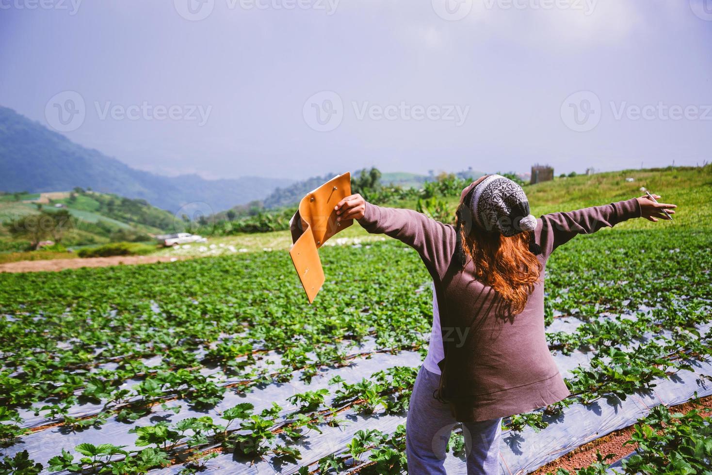 natura di viaggio donna asiatica. viaggiare rilassati. ragazza che legge un libro nell'orto. educazione alla natura scrivi una nota nella fragola del giardino. Tailandia foto