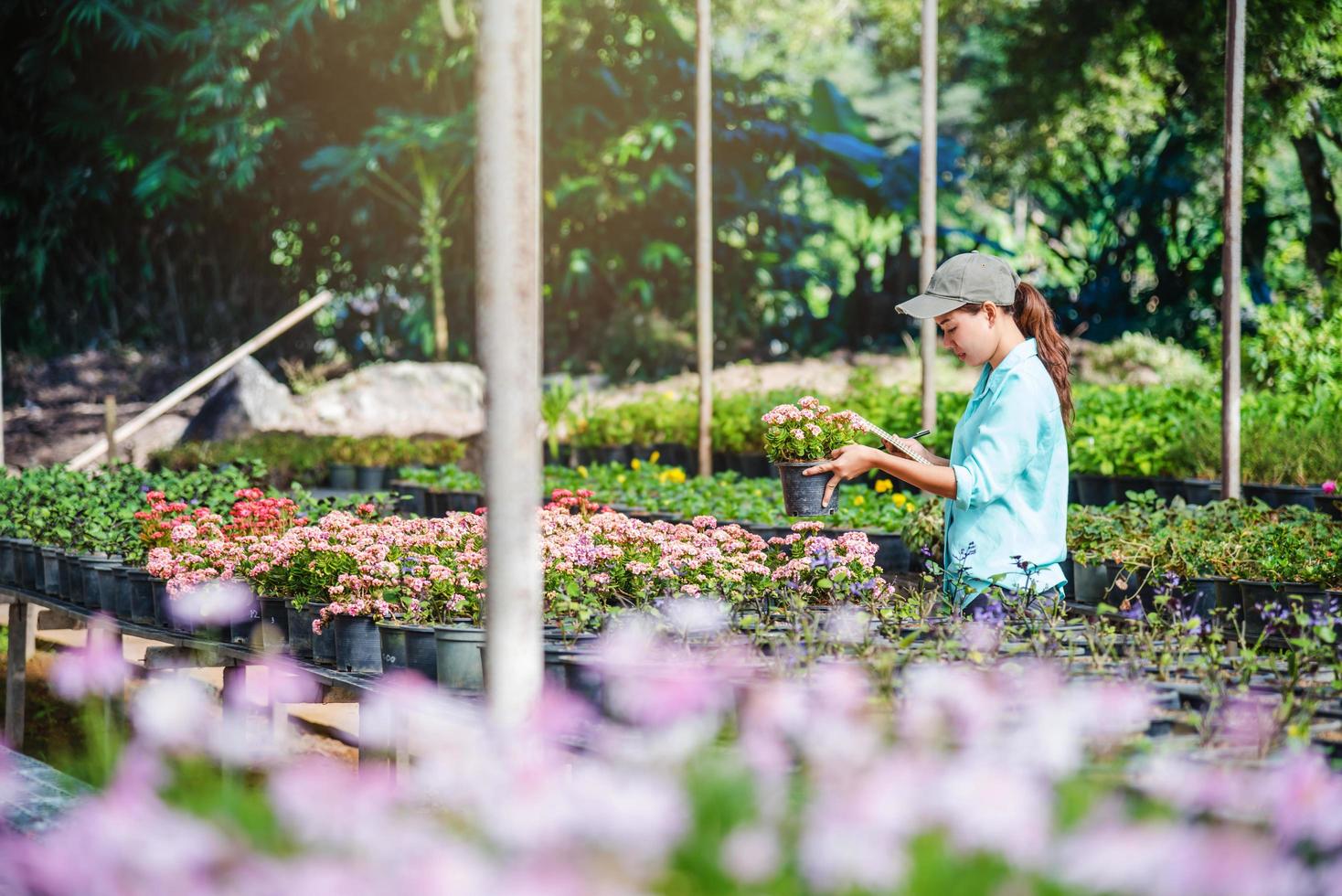 le giovani donne che lavorano nel giardino fiorito studiano e scrivono registrazioni dei cambiamenti degli alberi in fiore. sfondo del giardino fiorito foto