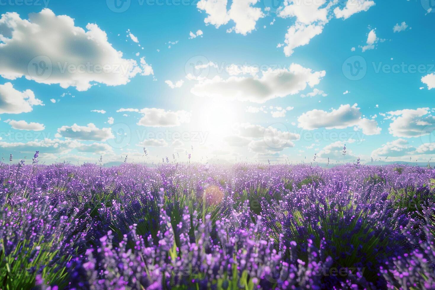 natura viola fiore nel luce del sole nel estate sotto blu cielo, bandiera design foto