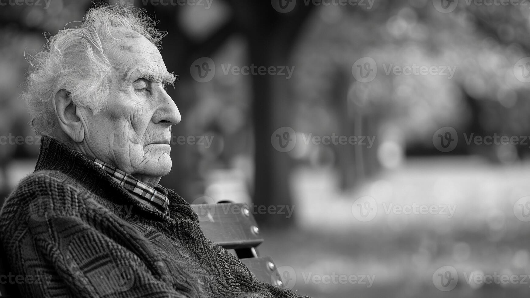 ritratto di un anziano uomo nel il parco. nero e bianca foto. foto