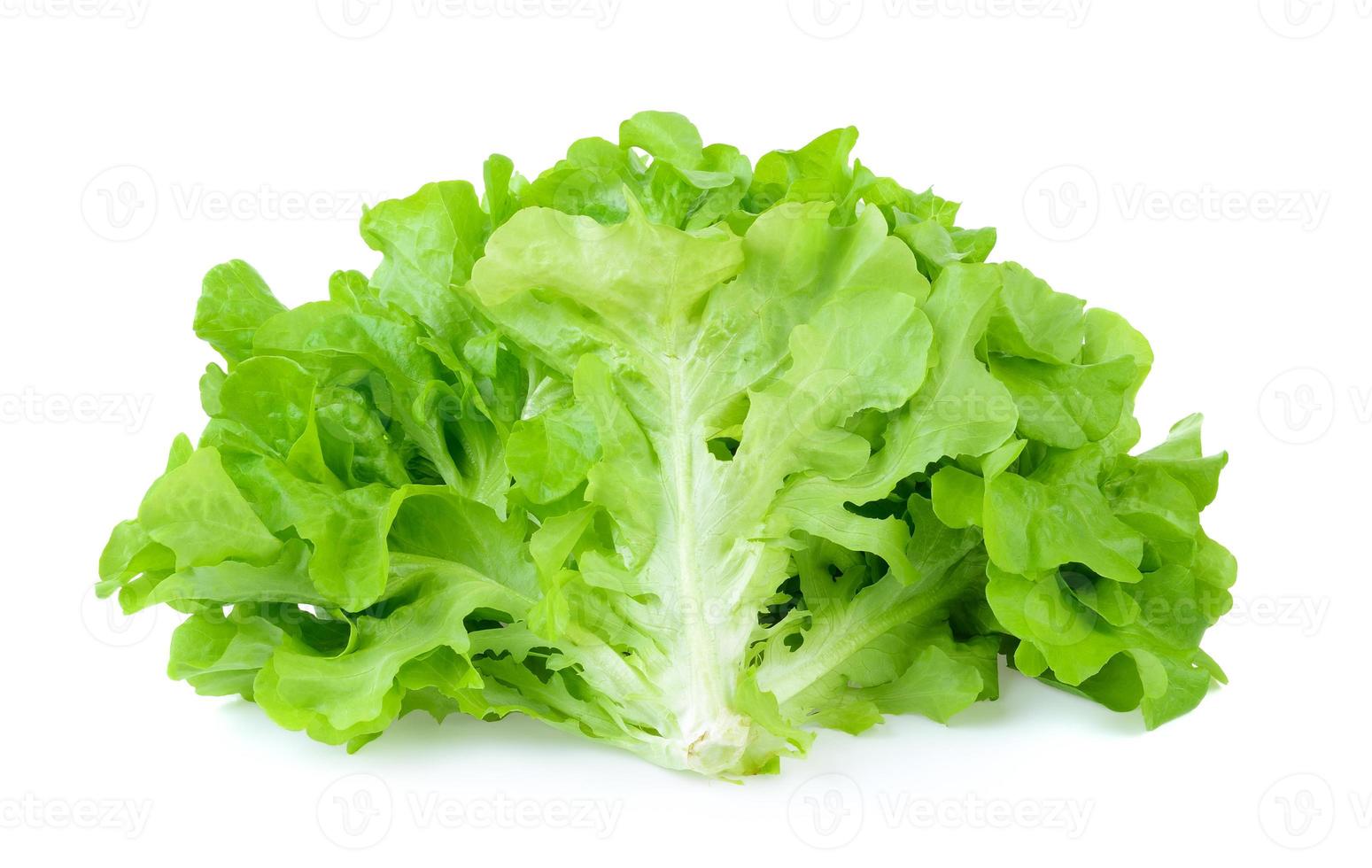 foglia di insalata. lattuga isolato su sfondo bianco foto