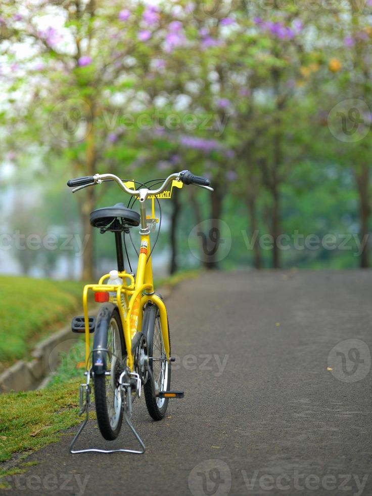 bicicletta nella strada del giardino foto