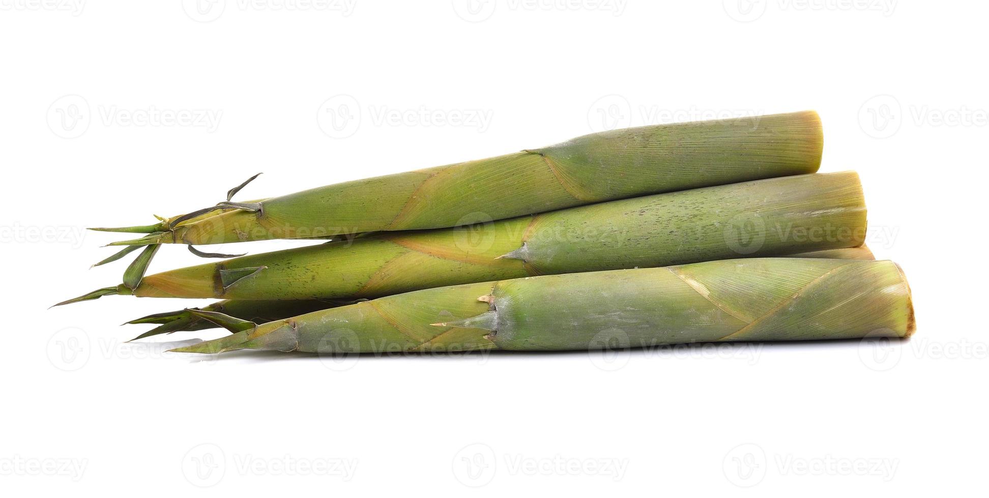 germoglio di bambù su sfondo bianco foto