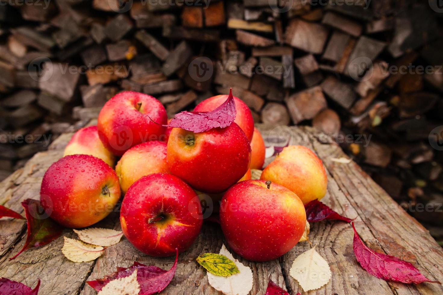natura morta con diverse mele rosse adagiate su un vecchio tavolo di legno foto