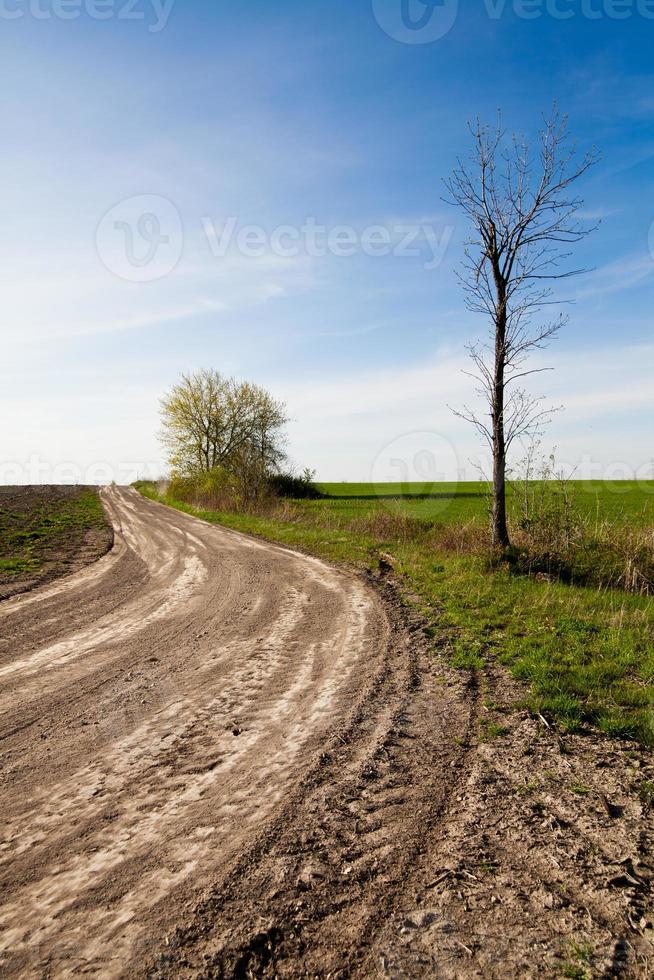 strada di campagna e cielo blu foto