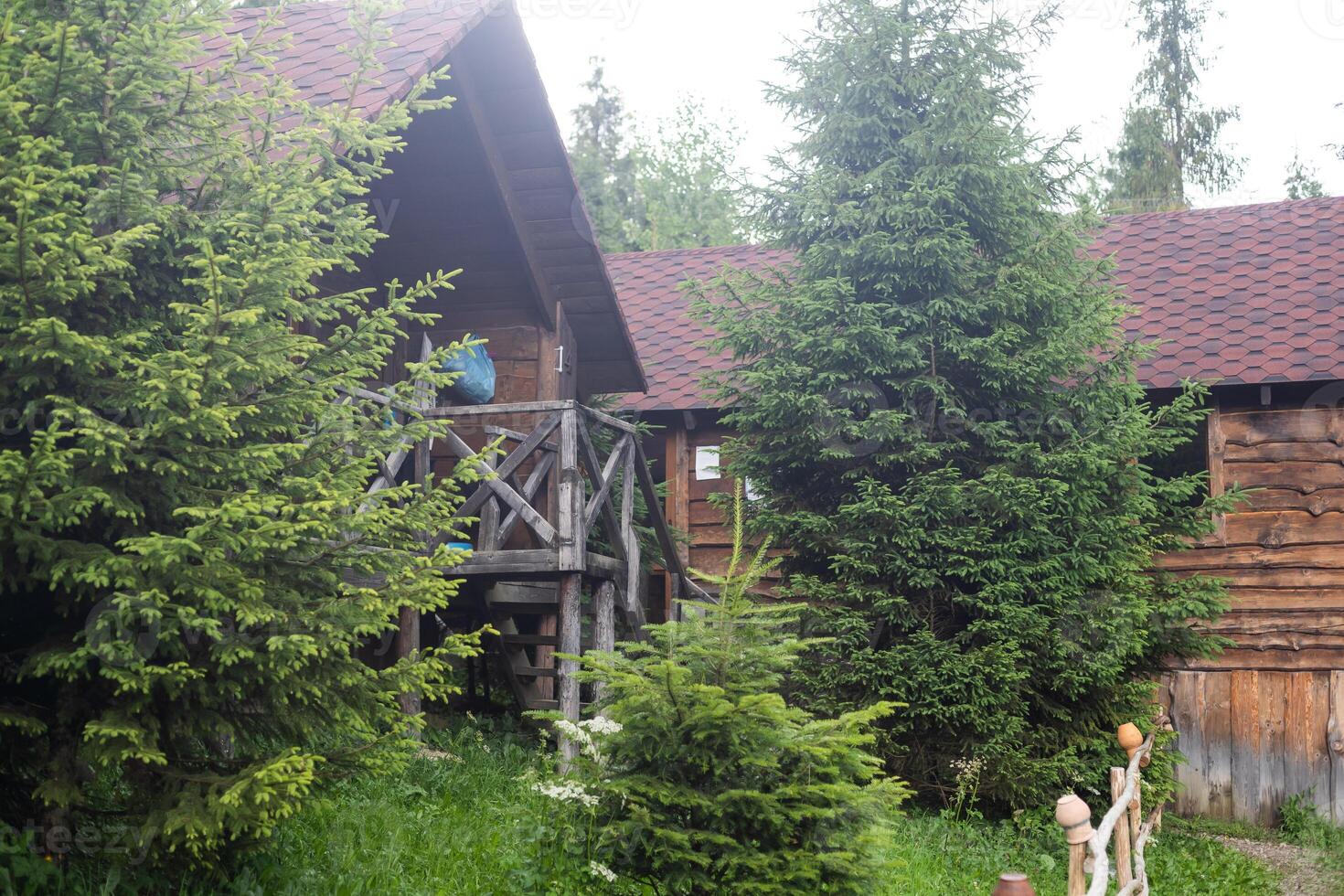 di legno Casa nel il foresta foto