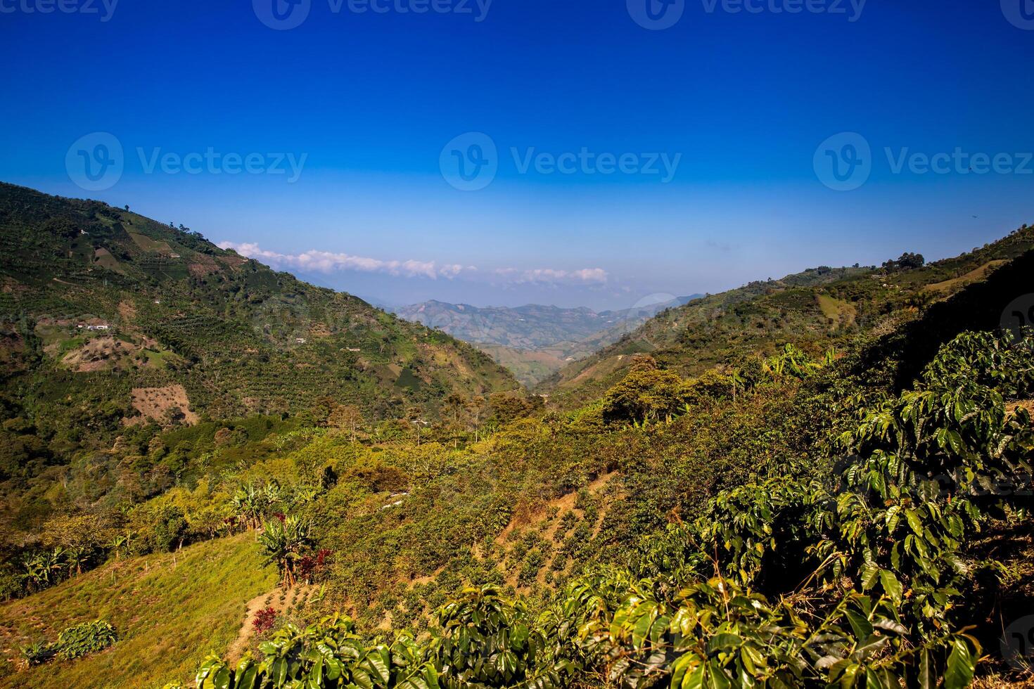 il bellissimo caffè culturale paesaggio di Colombia dichiarato come un' mondo eredità luogo nel 2011 foto