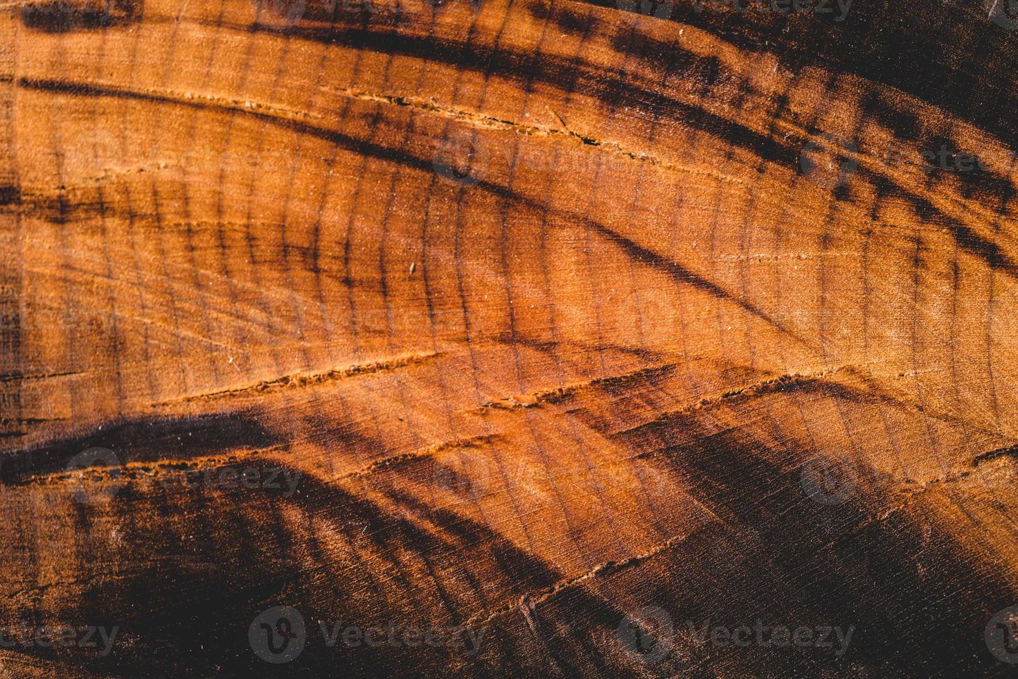 legno di acero tagliato bruciato e dettaglio surriscaldato foto