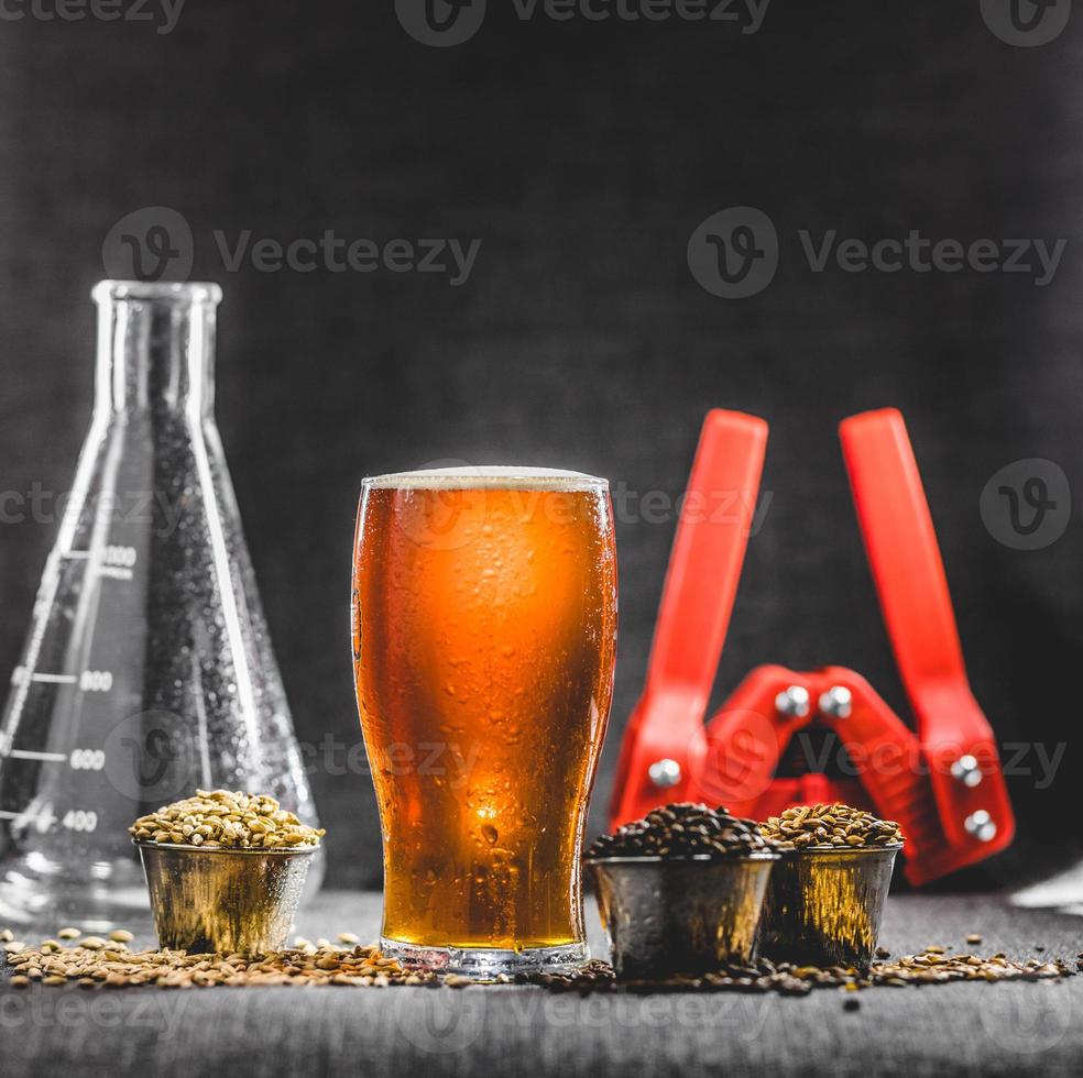 birra fatta in casa color miele, orzo diverso e attrezzature per la birra foto