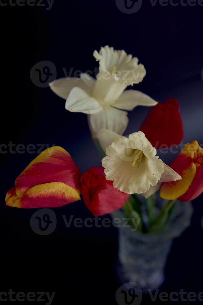 tulipani e giunchiglie nel un' cristallo vaso su un' nero sfondo foto