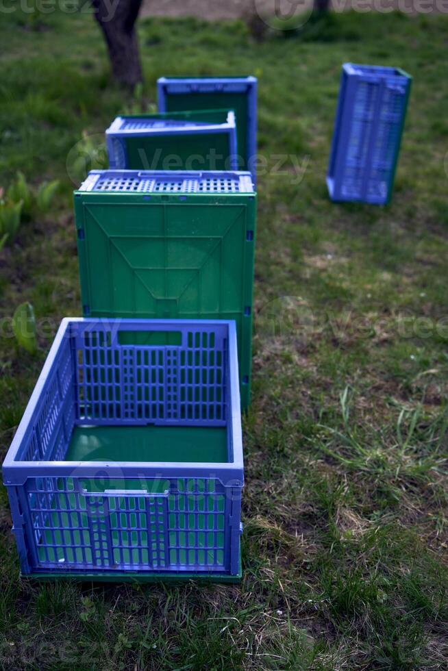 plastica scatole per verdure menzogna su il erba foto