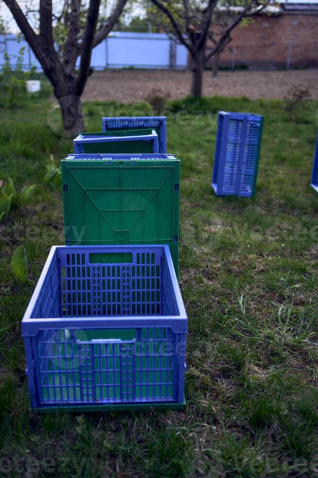 plastica scatole per verdure menzogna su il erba foto