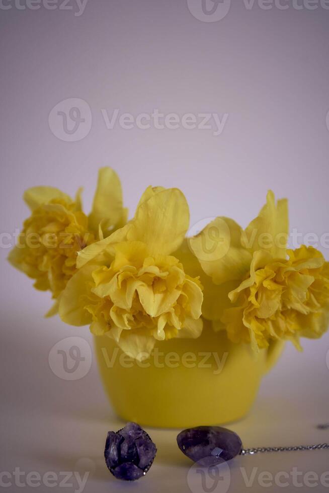 fiore preparativi di giallo giunchiglie nel un' giallo tazza su un' rosa sfondo foto