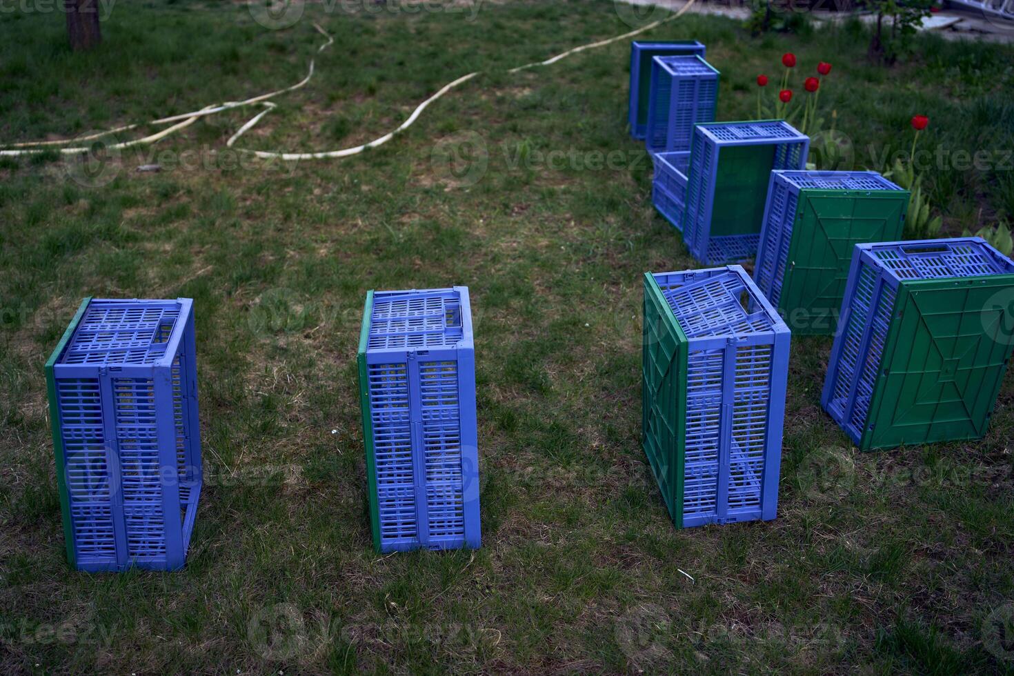 plastica scatole per verdure menzogna su il erba foto