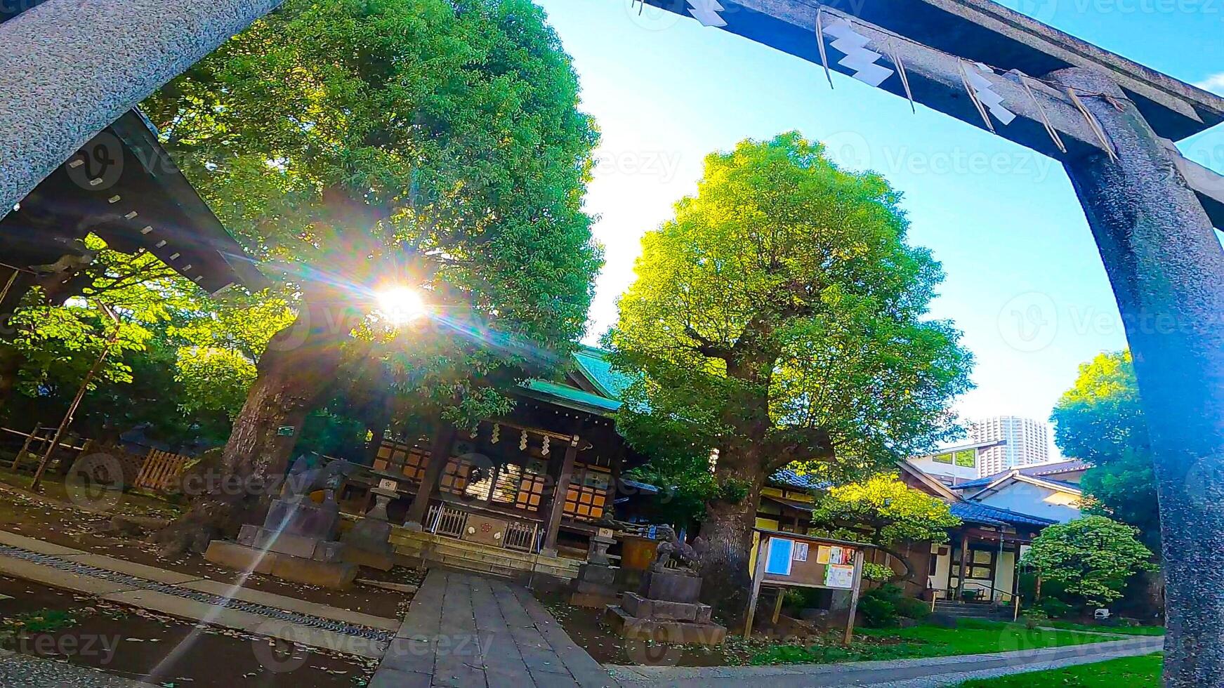 nishimukai tenjin santuario, un' santuario collocato nel Shinjuku, Shinjuku-ku, tokyo, Giappone esso è disse per avere stato fondato di togao akie Shonin nel 1228, e perché il santuario edificio facce ovest foto