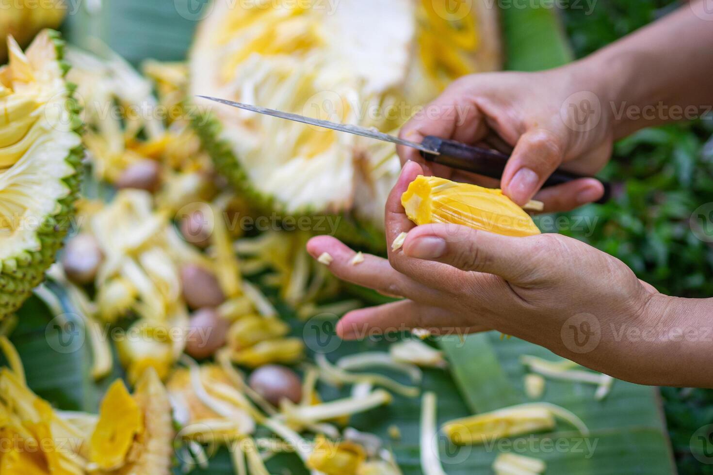 avvicinamento di un' donna di mani era taglio maturo jackfruit mentre seduta nel un' giardino. frutta per Salute foto